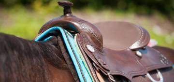 ARIAT Herbstkollektion ARIAT Herbstkollektion