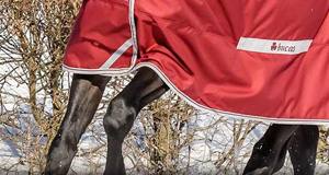 Outdoor Decken für Pferde