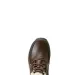 Ariat Damen Reitschuh Telluride Waterproof Insulated