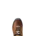 Ariat Damen Reitschuh Terrain Waterproof distressed brown - cowprint