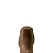Ariat Damen Westernboots Cattle Caite Mocha Dust - Copper Ridge