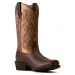 Ariat Damen Westernboots Round Up Cutter Toe Espresso - Copper Ridge