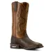 Ariat Westernboots Captivate Dark Brown