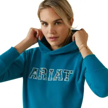 Ariat 3D Logo Hoody Mosaik Blue