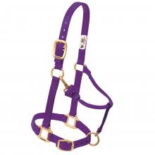 WEAVER Nylon-Halfter, Führhalfter und Stallhalfter verstellbar purple lila violett im Onlineshop für Westernreiten günstig bestellen