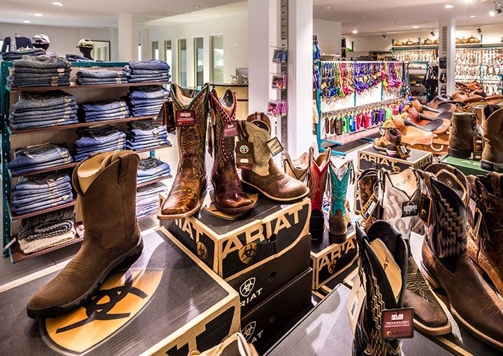 ARIAT Reitstiefel und Reitschuhe - Reitshop und Reitsportgeschäft